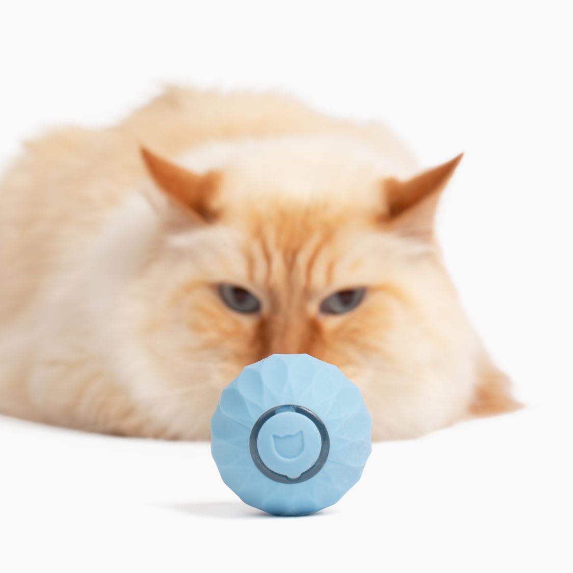 PET POWER BOUNCY BALL 2.0