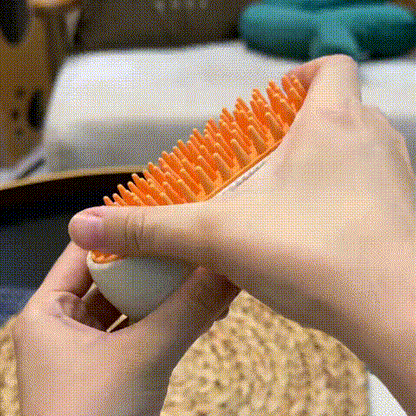 Pet Electric Steam Spray Massage Brush🌟3 in 1