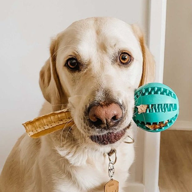Pet Teething Rubber Food Ball