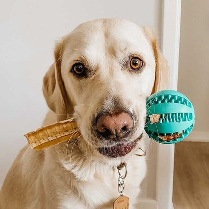 Pet Teething Rubber Food Ball