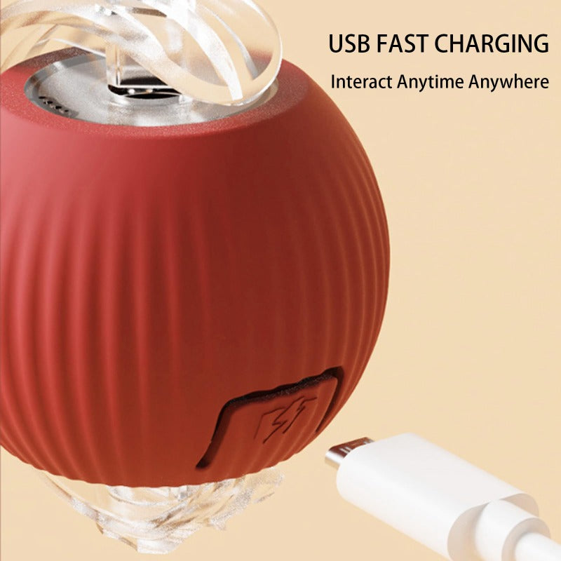 Automatic cat ball🌟Free your hands